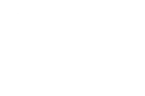 LPP Logo